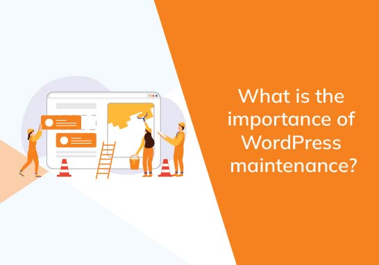 What is the importance of WordPress maintenance?